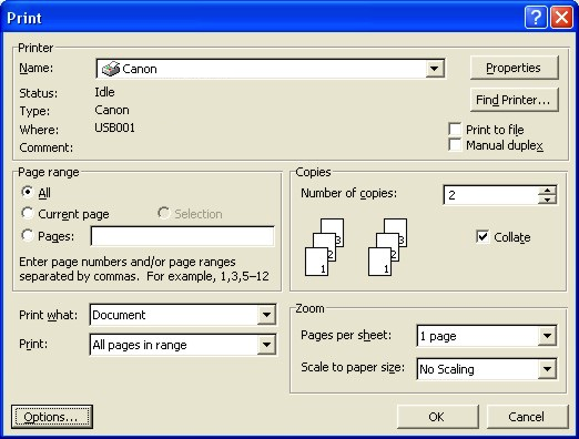 Print dialog from Microsoft Word on Windows XP